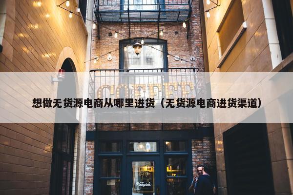 想做无货源电商从哪里进货（无货源电商进货渠道）
