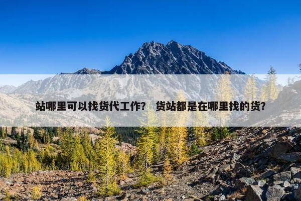 站哪里可以找货代工作？ 货站都是在哪里找的货？