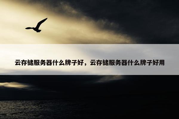 云存储服务器什么牌子好，云存储服务器什么牌子好用