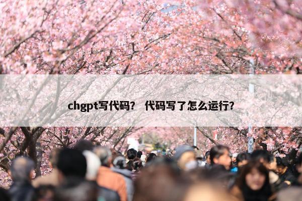 chgpt写代码？ 代码写了怎么运行？