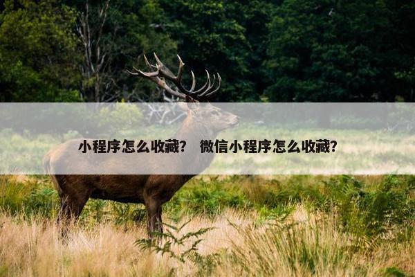 小程序怎么收藏？ 微信小程序怎么收藏？