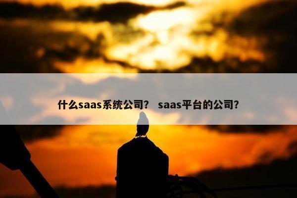 什么saas系统公司？ saas平台的公司？