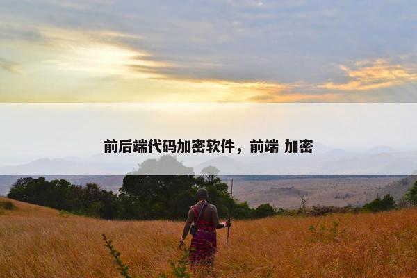 前后端代码加密软件，前端 加密