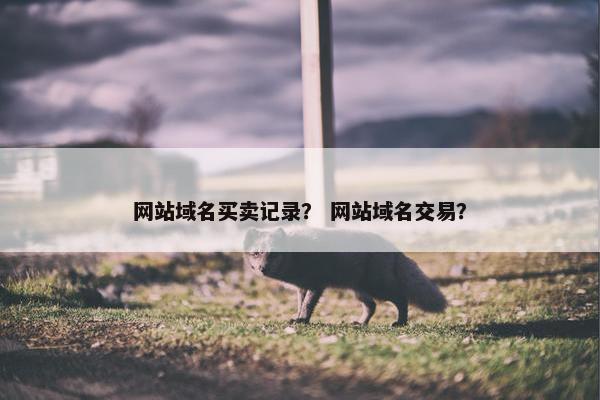 网站域名买卖记录？ 网站域名交易？