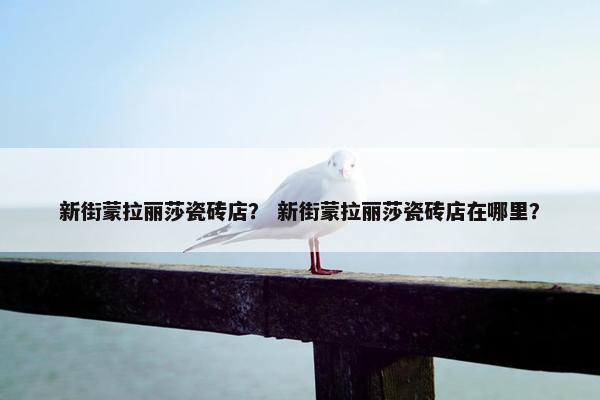 新街蒙拉丽莎瓷砖店？ 新街蒙拉丽莎瓷砖店在哪里？
