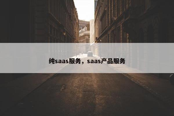 纯saas服务，saas产品服务