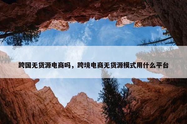 跨国无货源电商吗，跨境电商无货源模式用什么平台