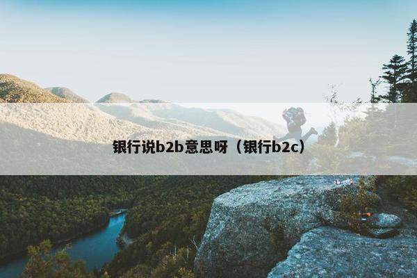 银行说b2b意思呀（银行b2c）
