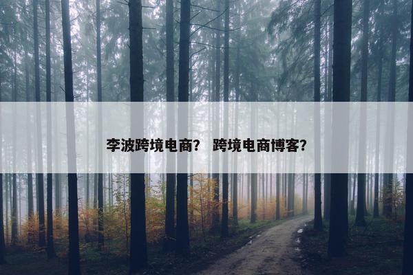 李波跨境电商？ 跨境电商博客？