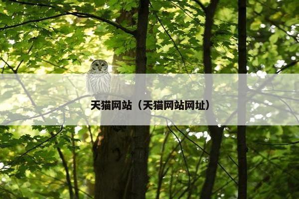 天猫网站（天猫网站网址）