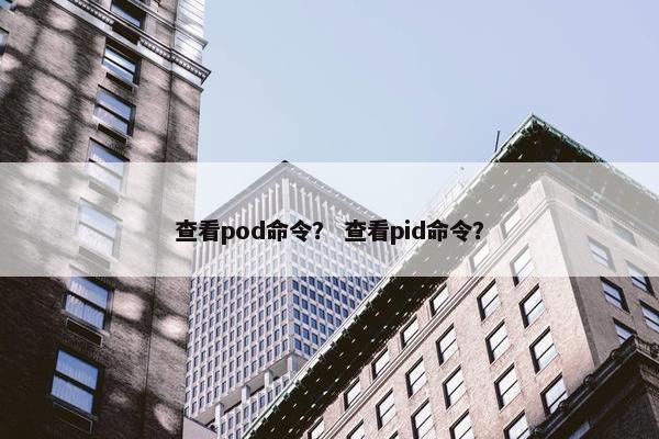 查看pod命令？ 查看pid命令？