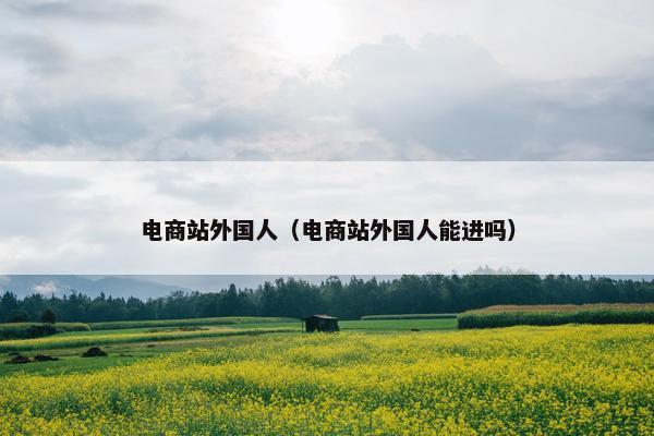 电商站外国人（电商站外国人能进吗）
