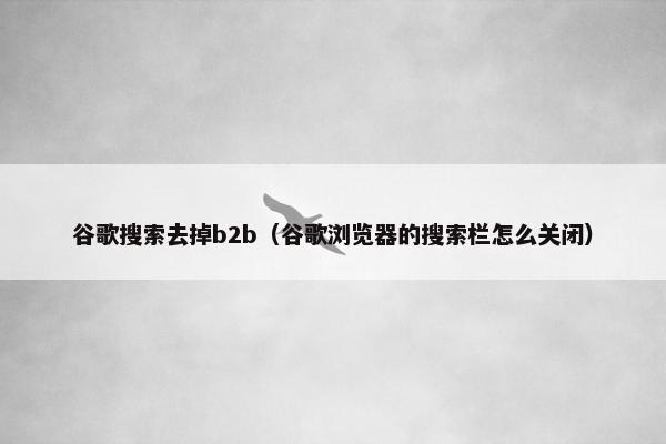 谷歌搜索去掉b2b（谷歌浏览器的搜索栏怎么关闭）
