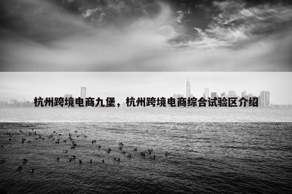 杭州跨境电商九堡，杭州跨境电商综合试验区介绍
