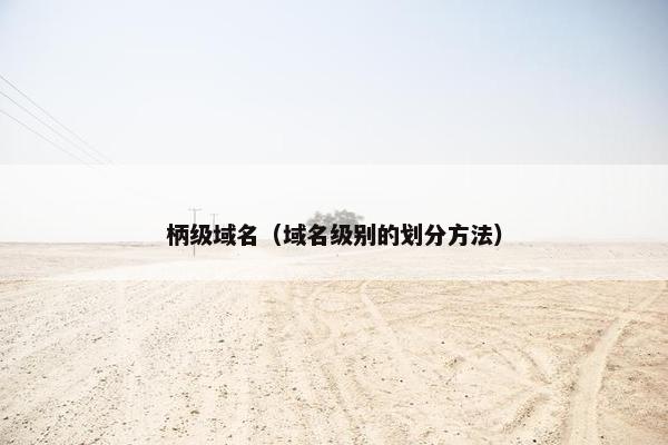 柄级域名（域名级别的划分方法）
