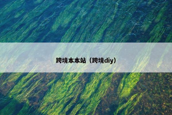 跨境本本站（跨境diy）