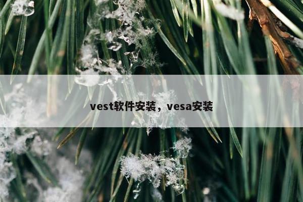 vest软件安装，vesa安装