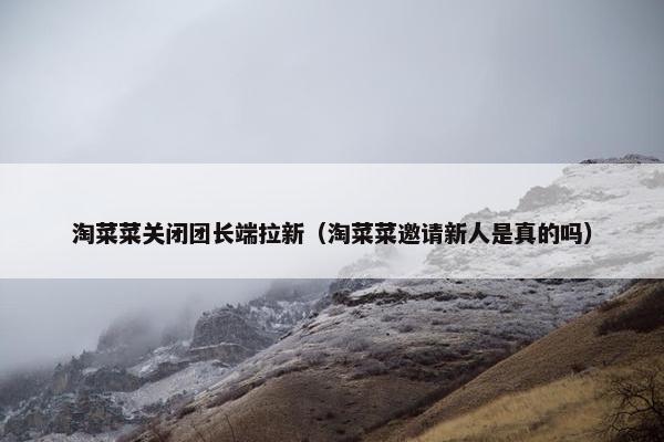 淘菜菜关闭团长端拉新（淘菜菜邀请新人是真的吗）