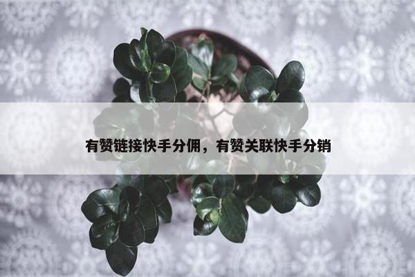 有赞链接快手分佣，有赞关联快手分销