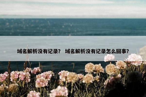 域名解析没有记录？ 域名解析没有记录怎么回事？