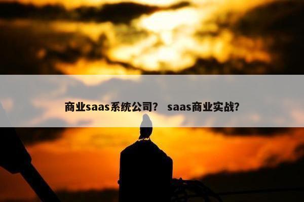 商业saas系统公司？ saas商业实战？