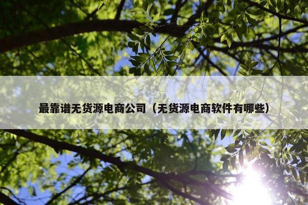 最靠谱无货源电商公司（无货源电商软件有哪些）