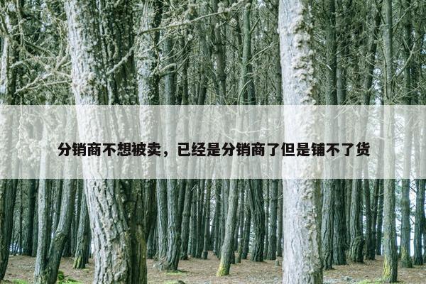 分销商不想被卖，已经是分销商了但是铺不了货