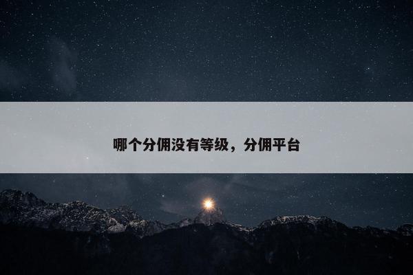哪个分佣没有等级，分佣平台