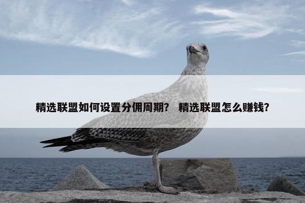 精选联盟如何设置分佣周期？ 精选联盟怎么赚钱？