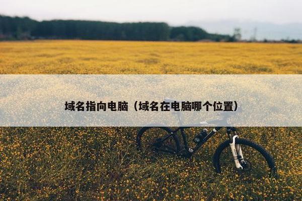 域名指向电脑（域名在电脑哪个位置）