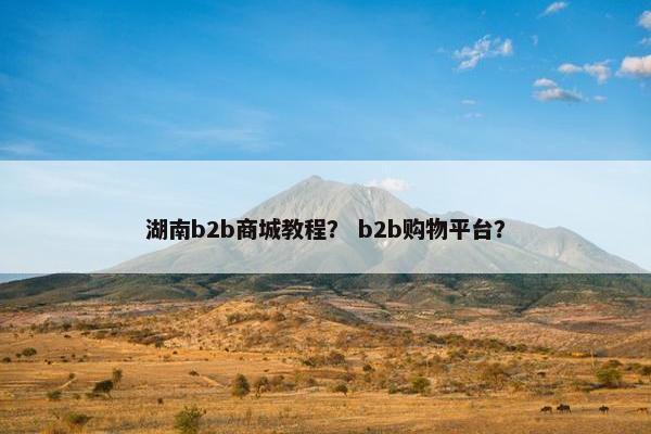 湖南b2b商城教程？ b2b购物平台？