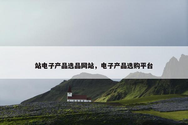 站电子产品选品网站，电子产品选购平台