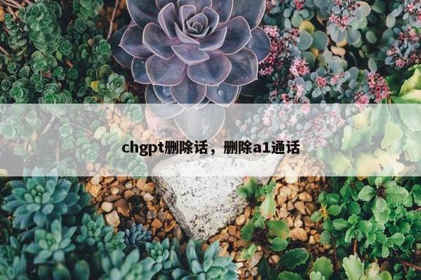 chgpt删除话，删除a1通话