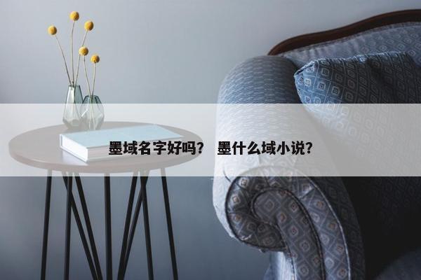 墨域名字好吗？ 墨什么域小说？