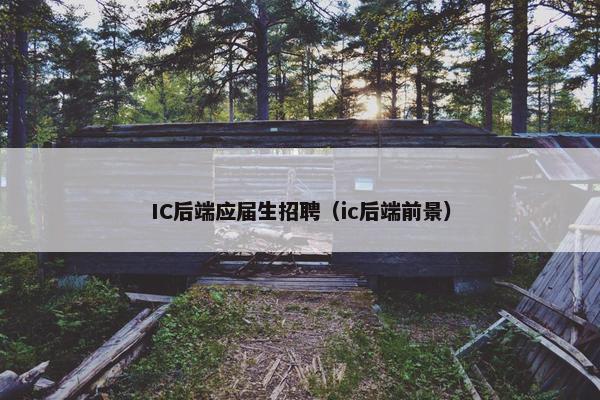 IC后端应届生招聘（ic后端前景）