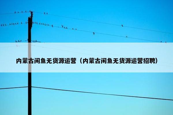内蒙古闲鱼无货源运营（内蒙古闲鱼无货源运营招聘）