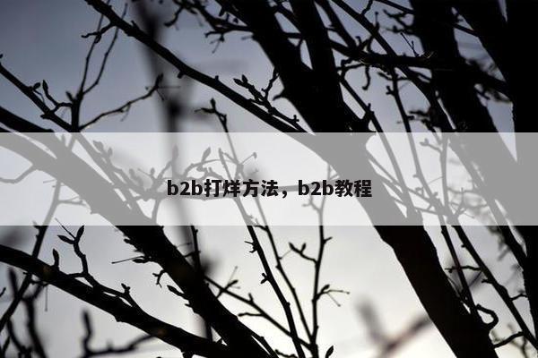 b2b打烊方法，b2b教程