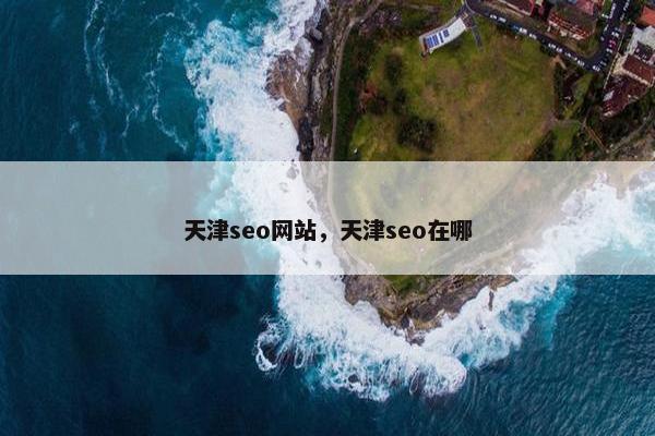 天津seo网站，天津seo在哪