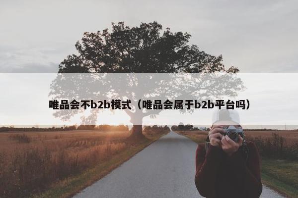 唯品会不b2b模式（唯品会属于b2b平台吗）