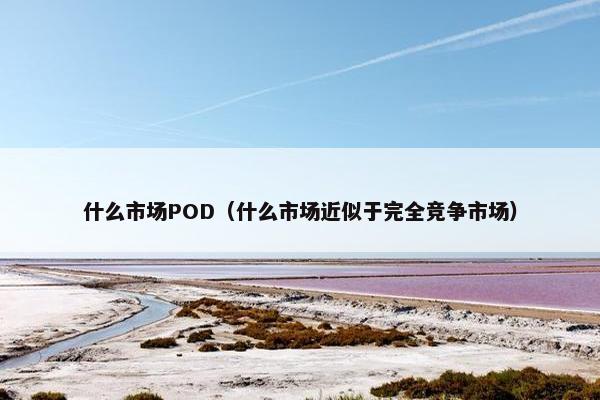 什么市场POD（什么市场近似于完全竞争市场）