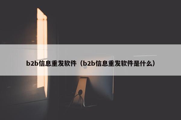 b2b信息重发软件（b2b信息重发软件是什么）