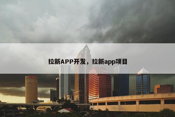拉新APP开发，拉新app项目