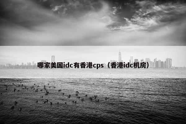 哪家美国idc有香港cps（香港idc机房）