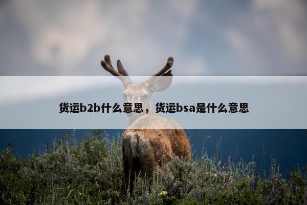 货运b2b什么意思，货运bsa是什么意思