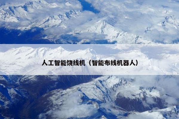 人工智能饶线机（智能布线机器人）