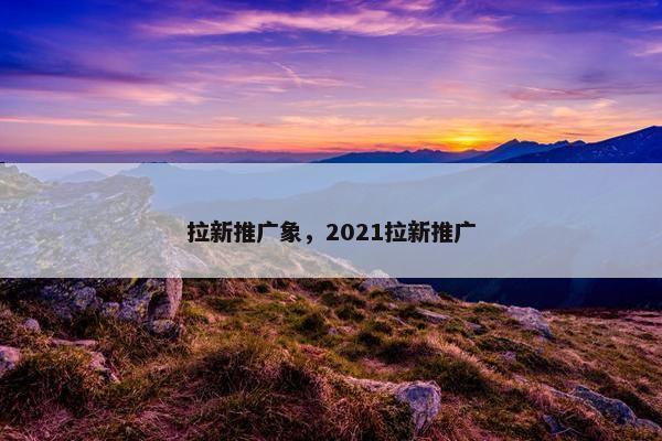 拉新推广象，2021拉新推广