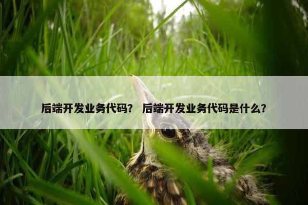 后端开发业务代码？ 后端开发业务代码是什么？