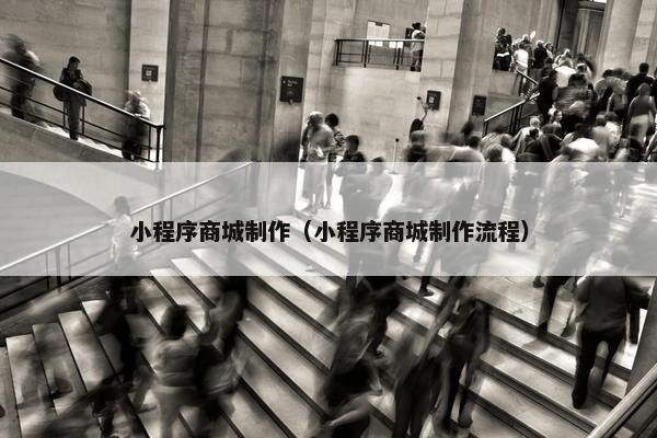 小程序商城制作（小程序商城制作流程）
