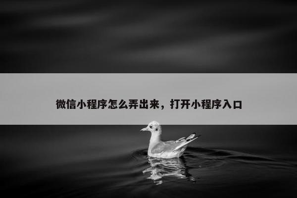 微信小程序怎么弄出来，打开小程序入口