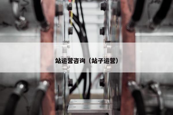 站运营咨询（站子运营）